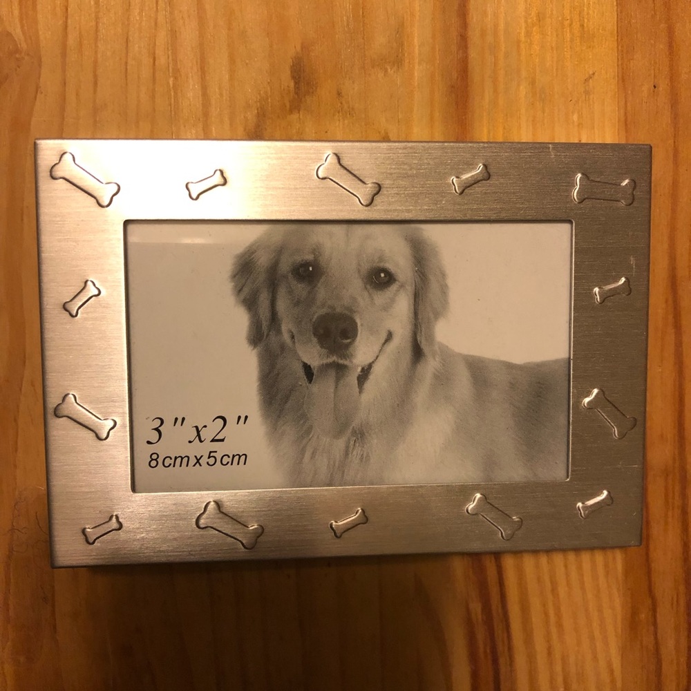 Silver Tone Bone Pet Frame